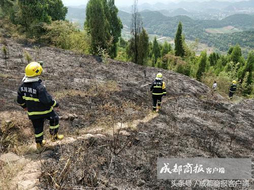 遂宁服装行业招聘动态与趋势解析，最新招聘信息及行业展望