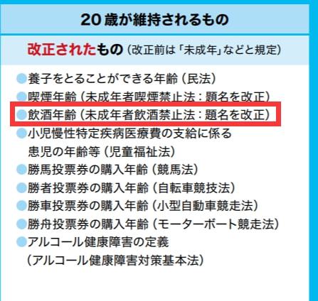 全球成年年龄趋势与挑战，最新动态与探讨